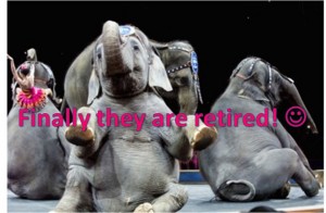 The last of the Ringling Bros. elephants are now officially retired