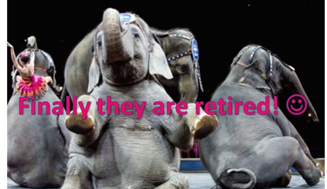 The last of the Ringling Bros. elephants are now officially retired