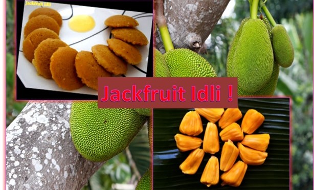A traditional Karnataka Dish - Jackfruit Idli !