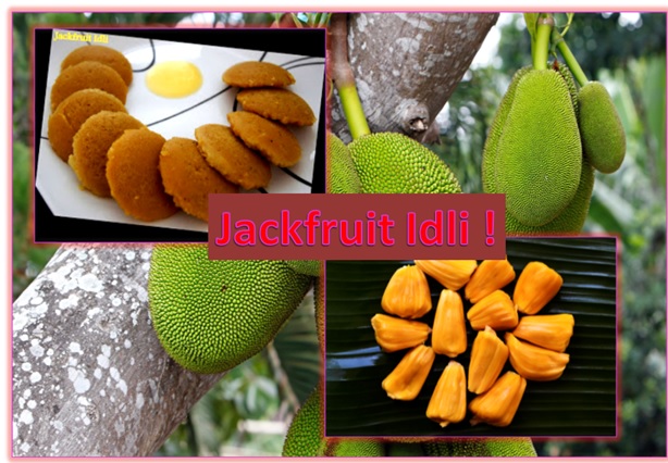 A traditional Karnataka Dish - Jackfruit Idli !
