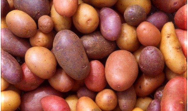 Healthy Food - Potatoes