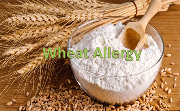 Wheat Allergy