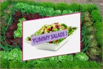 Yummy Salads - Salad World
