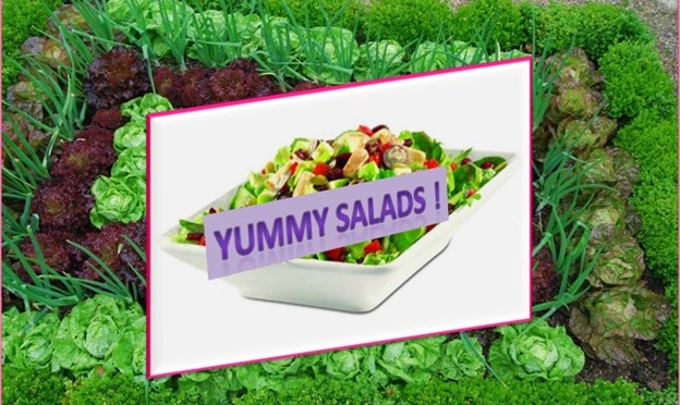Yummy Salads - Salad World