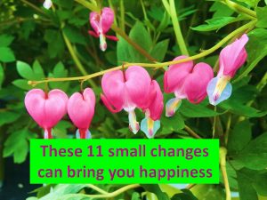 11 changes brings happiness
