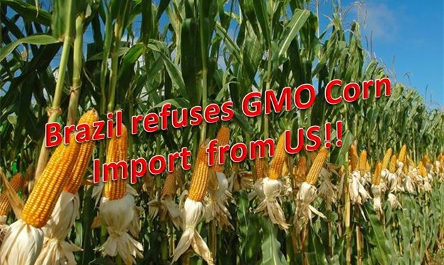 Brazil Refuses All Imports of U.S.- Grown Genetically-Modified Crops