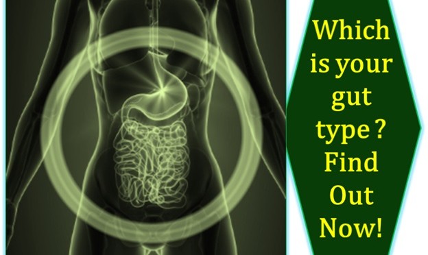 Which is your gut type? Find out now!