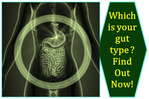 Which is your gut type? Find out now!