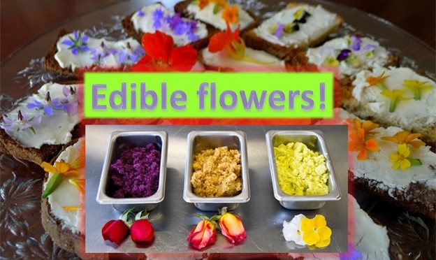 Culinary Power of Flowers
