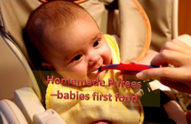 Homemade Purees - Babies First Food