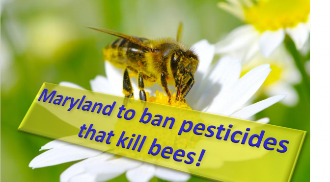 Maryland will ban pesticides that kill Honey bees
