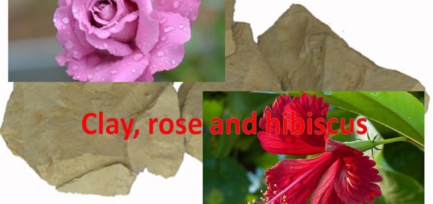 Clay, Rose and Hibiscus Mask