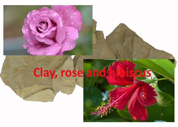 Clay, Rose and Hibiscus Mask