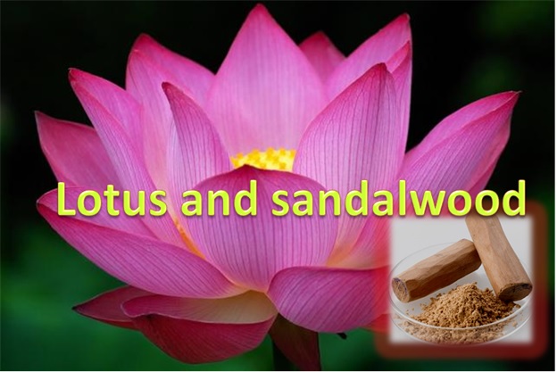 Lotus and Sandalwood Mask