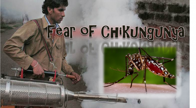 Fear of Chikungunya