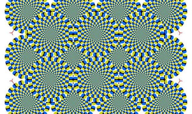 Are these circles are moving or not?