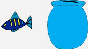 Fish In Bowl