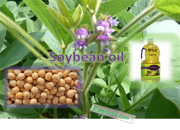 Soybean Oil For Cooking