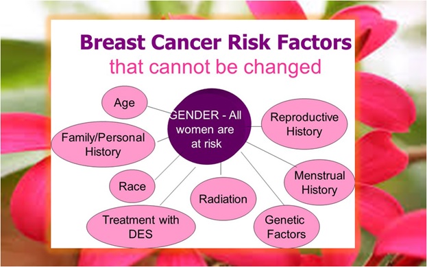 Breast Cancer Risk Factors