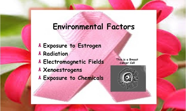 Environment Factors of Breast Cancer