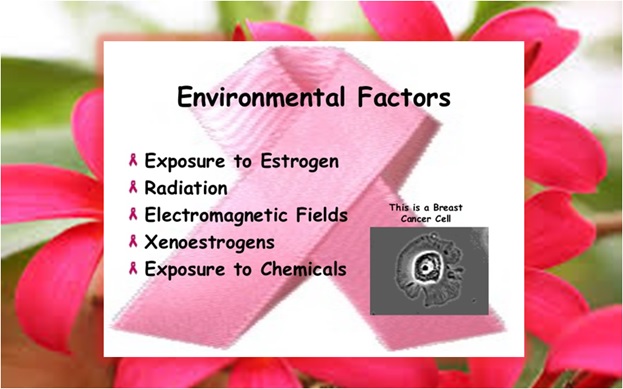 Environment Factors of Breast Cancer
