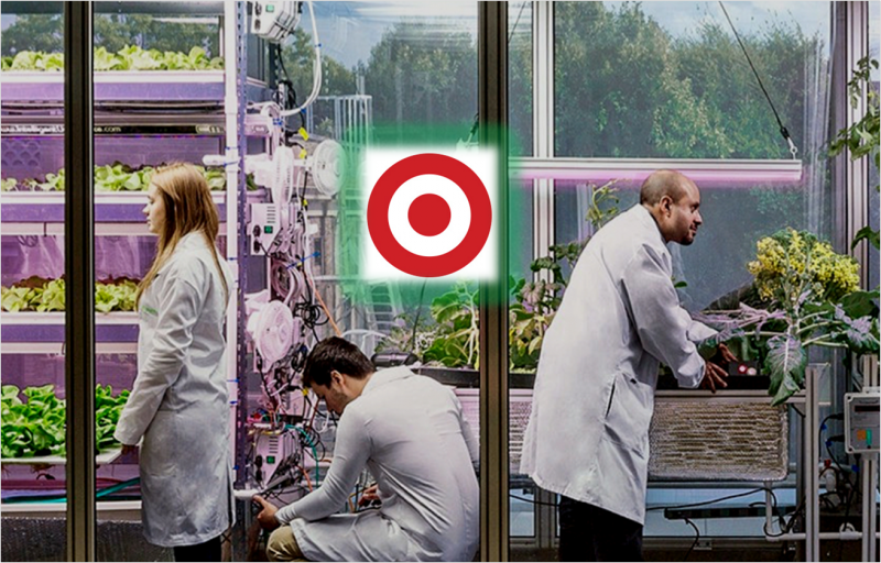 Target Stores To Launch In-Store Vertical Farms