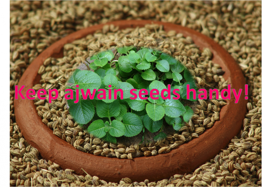 Keep Ajwain Seeds Handy
