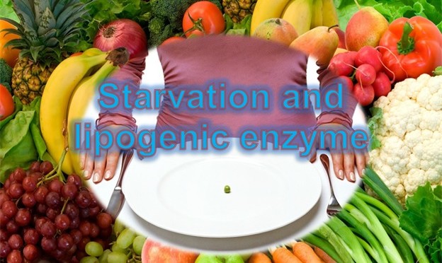 Lipogenic Enzyme and Starvation