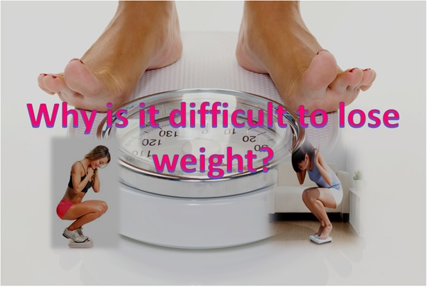 Why is difficult to lose weight?