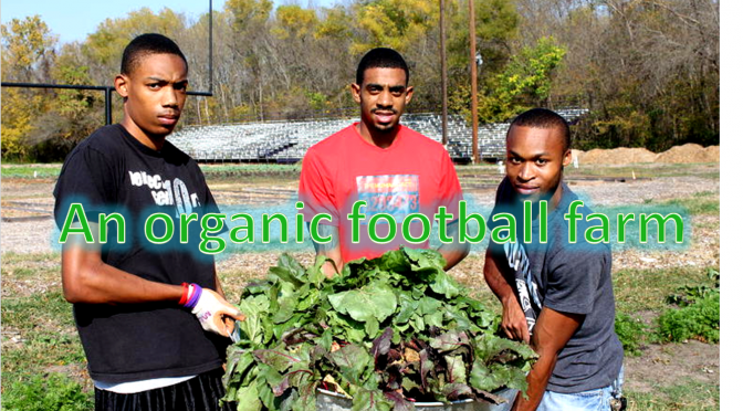 Organic Football Farm