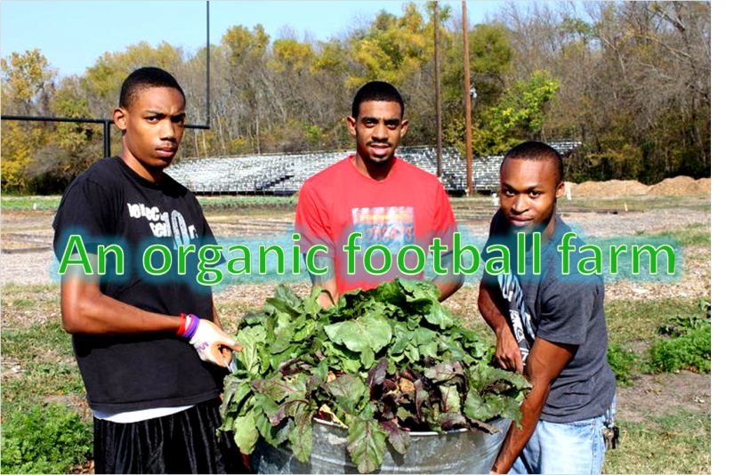 Organic Football Farm