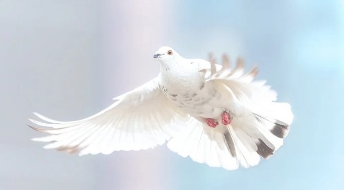 Inspiring Quotes For The Year 2017