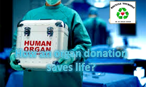 How An Organ Donation Saves Life?