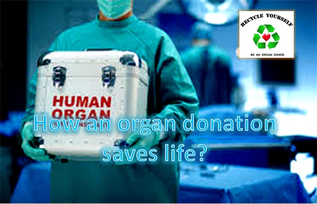How An Organ Donation Saves Life?