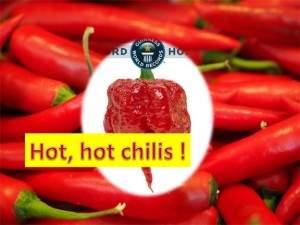 Hot Chillies In India