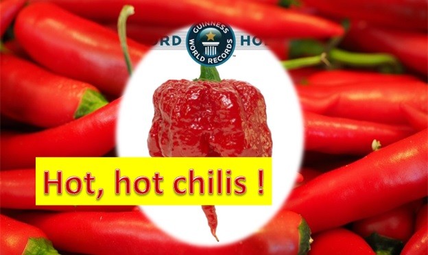 Hot Chillies In India