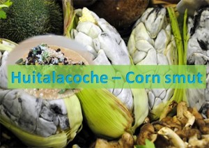 Huitalacoche - Corn Smut