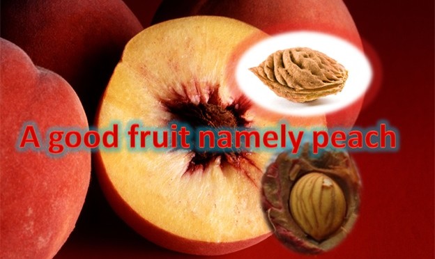Peach - A Good Fruit