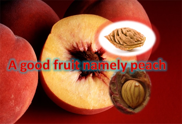 Peach - A Good Fruit