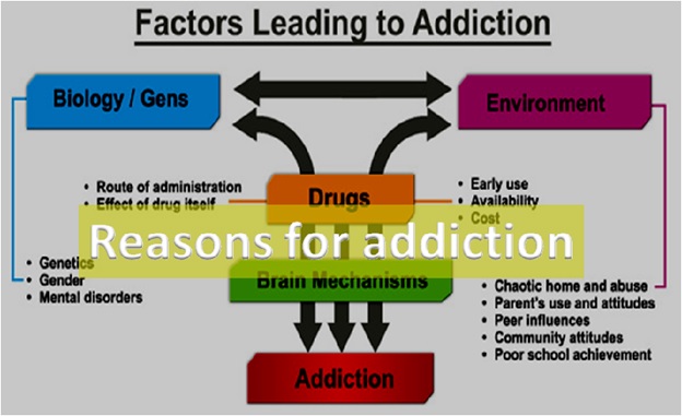 Reasons Leading To Drug Addiction