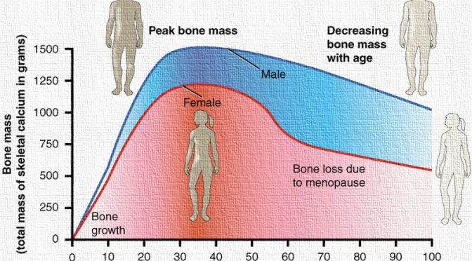 Bone health at Age 20s