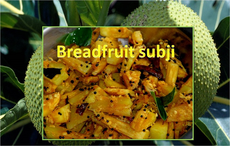 Breadfruit Subji