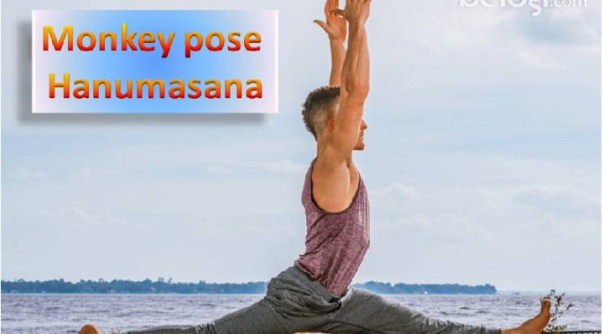 Monkey Pose