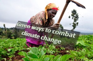 Green ways to combat climate change