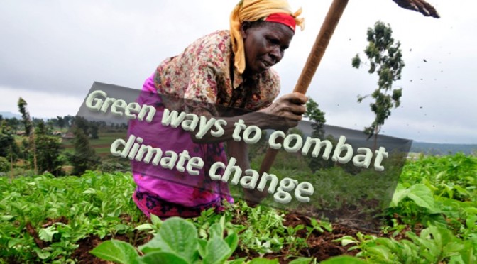 Green ways to combat climate change