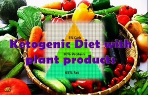 Ketogenic diet for vegetarians