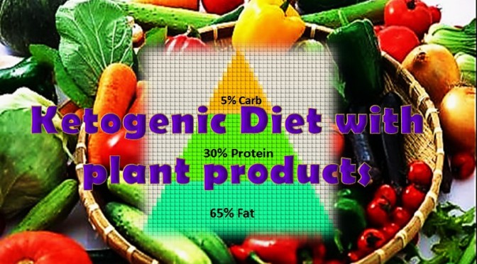 Ketogenic diet for vegetarians