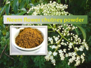 Neem Flower Chutney Powder