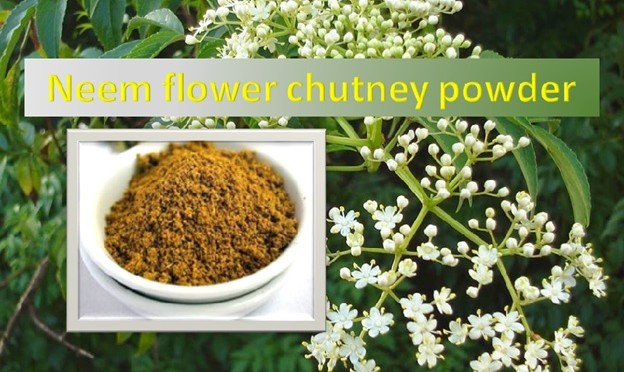 Neem Flower Chutney Powder