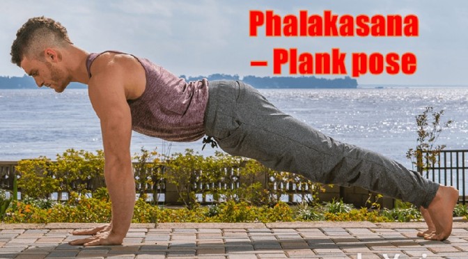 Plank Pose - Phalakasana